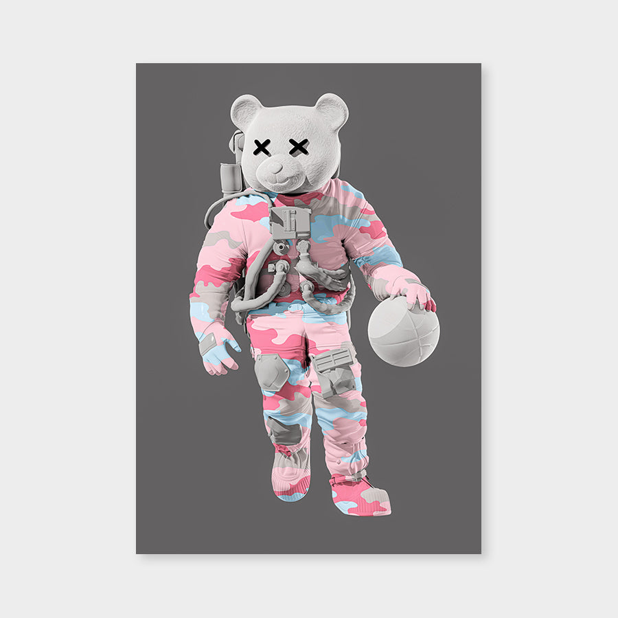 Astrobear Ball Army Pinkblue Grey