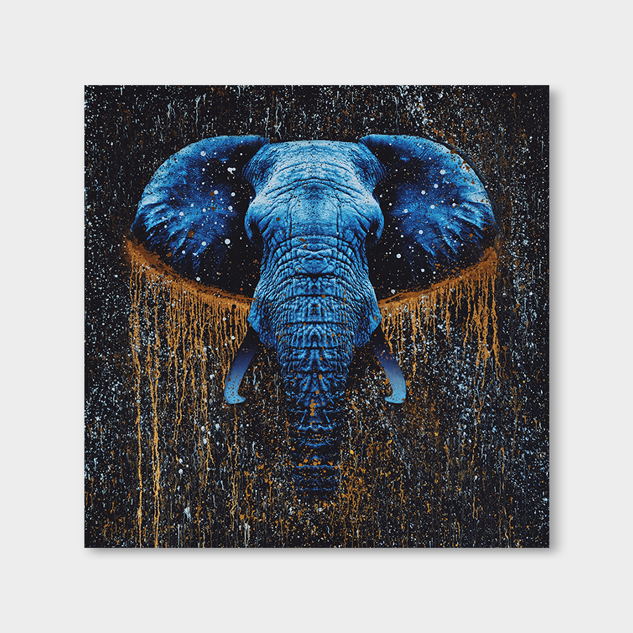 Galaxy Elephant